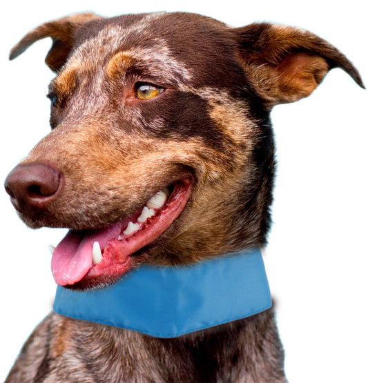 dog-cooling-collar-ice-insertable-heat-relief-neck-wrap-b-luxury-view-1 | Majestic Pet Kingdom