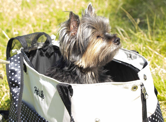 Dog Living Essential Secure Low - Premium Daily Wellness