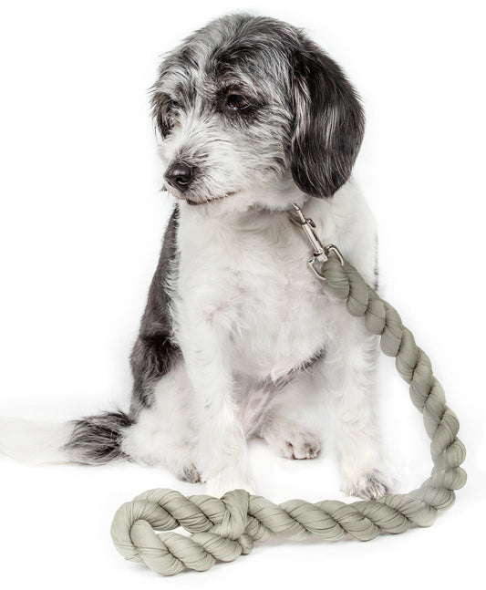 dog-leash-shock-absorbing-heavy-duty-woven-bungee-lead-class-luxury-view-1 | Majestic Pet Kingdom