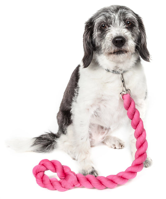 dog-leash-shock-absorbing-heavy-duty-woven-bungee-lead-class-luxury-view-2 | Majestic Pet Kingdom
