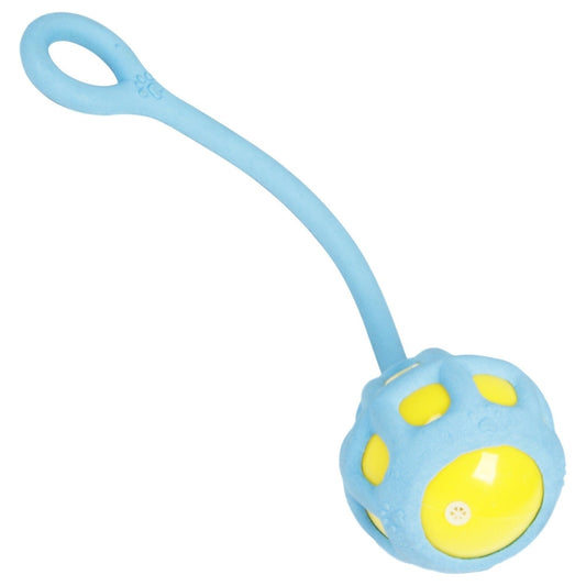 Dog Tug Toy Tug-O-Warp Squeaky TPR Rubber Fetch Chewing Play