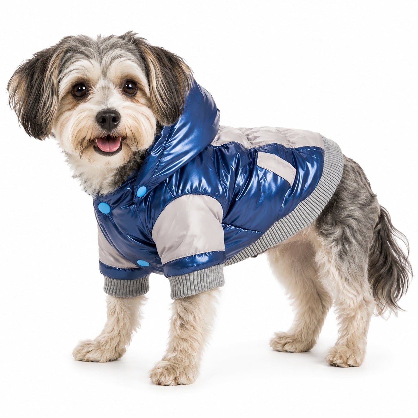 Pet Life ® 'Vintage Aspen' 3M Insulated Sporty Ski Dog Jacket w/ Removable Hood