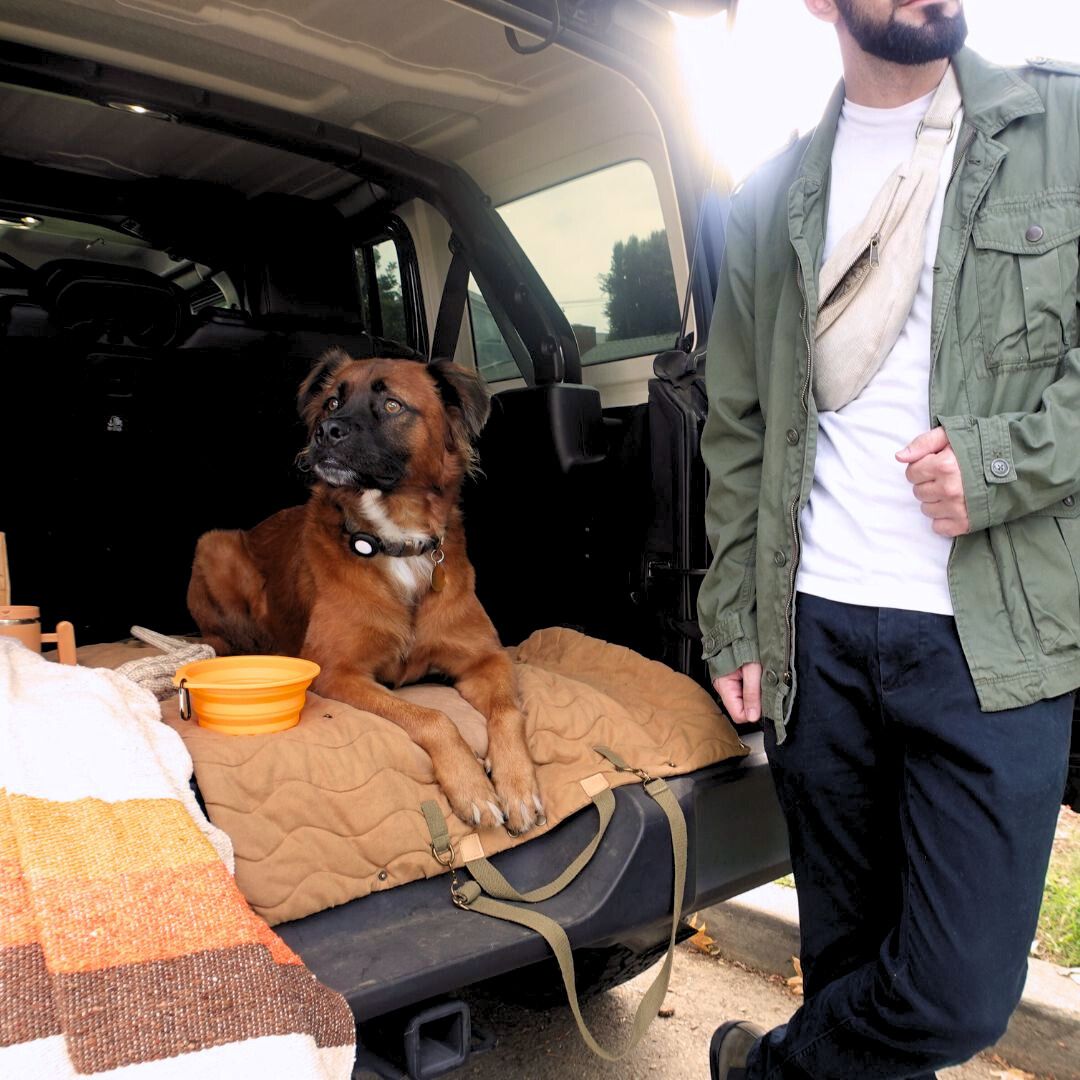 Trekk Convertible Travel Mat - Portable Canvas Bed for Dogs & Humans | Camping, Concerts, Picnics