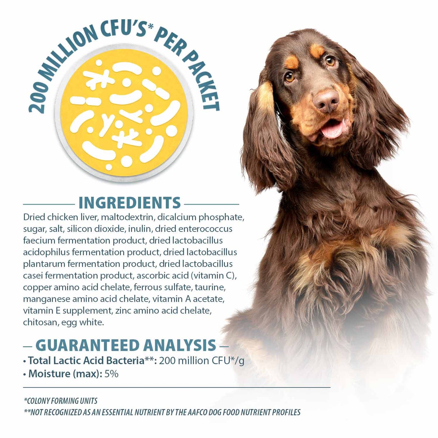 Luxury Pet Essentials - Purrfect Pet Kingdom™