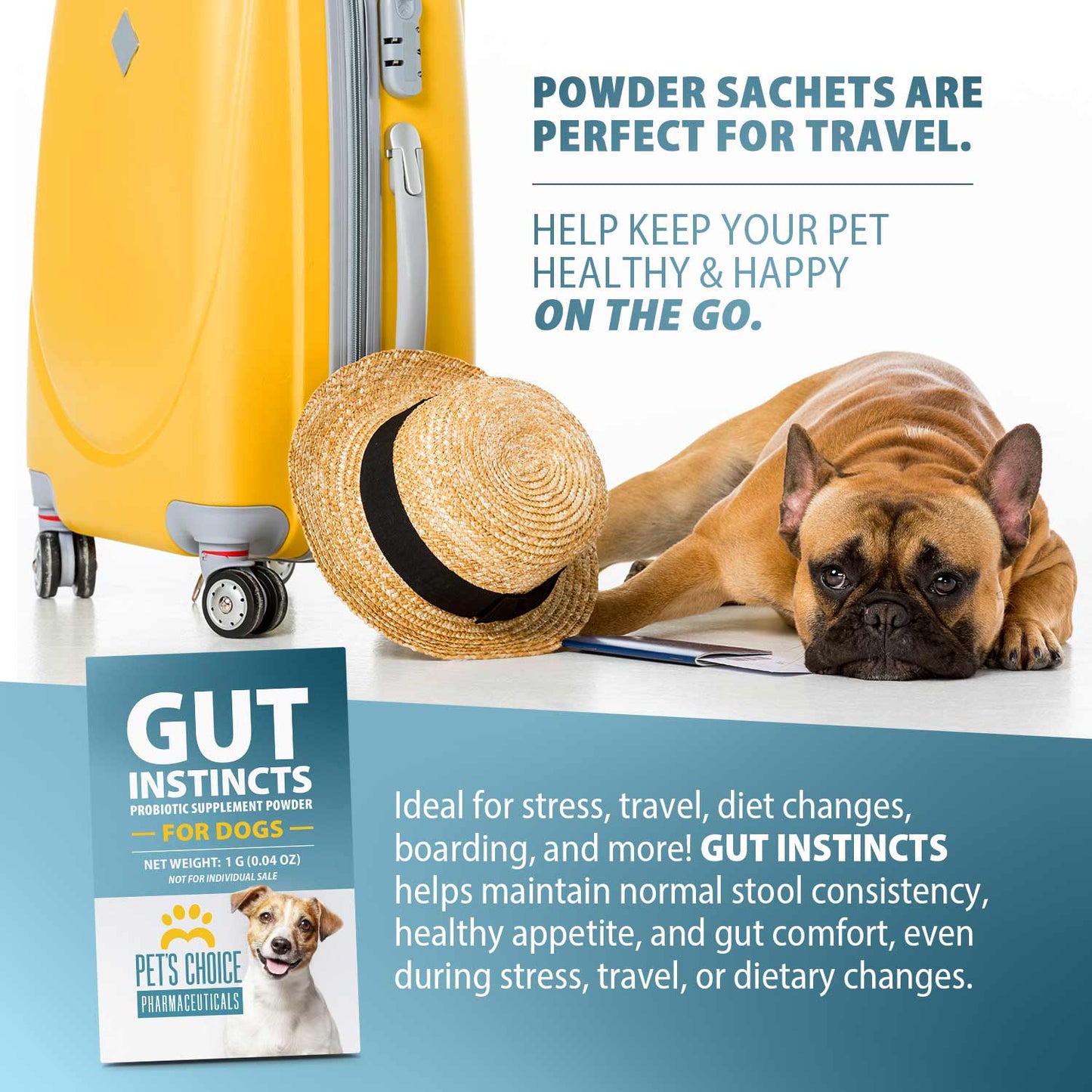Luxury Pet Essentials - Purrfect Pet Kingdom™