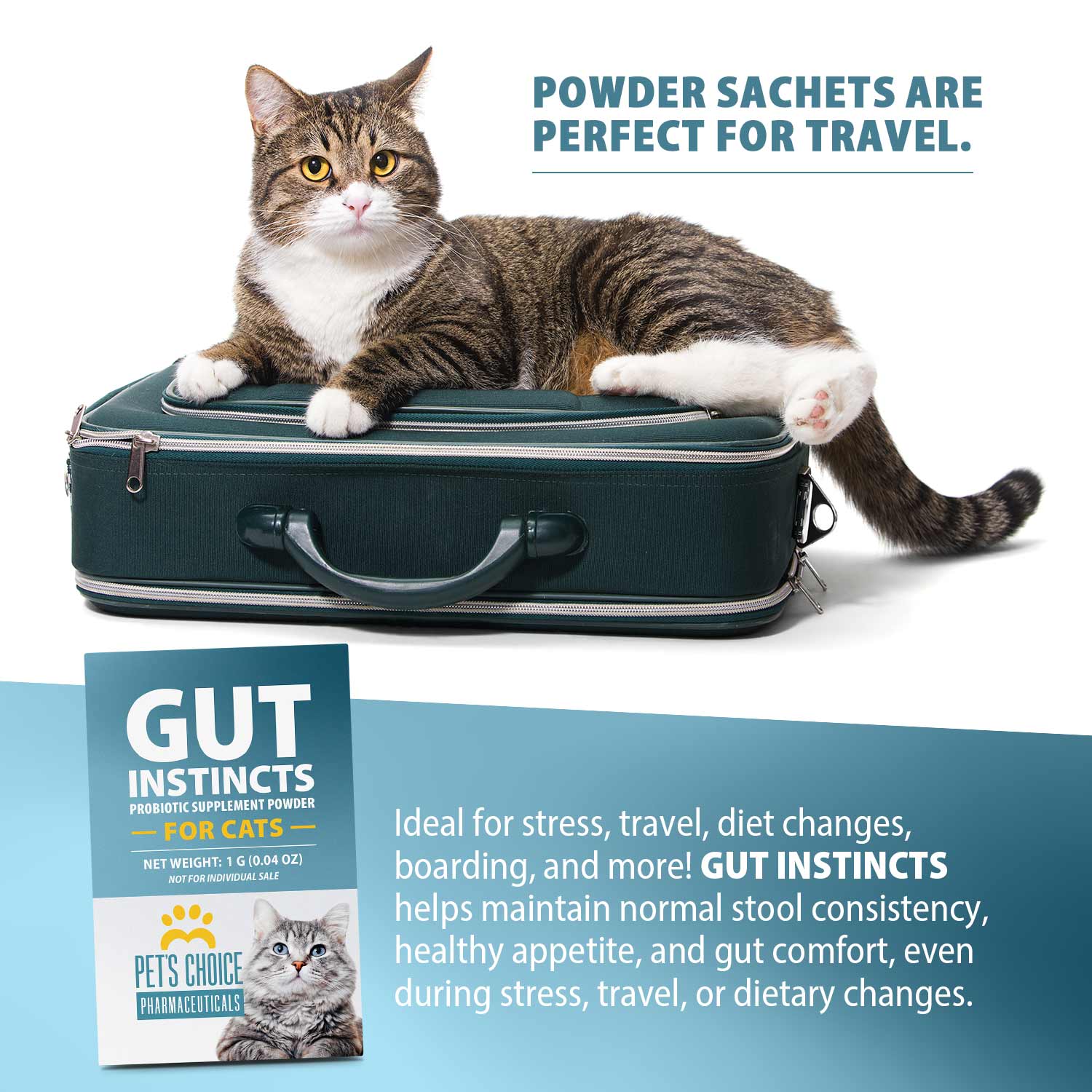 Luxury Pet Essentials - Purrfect Pet Kingdom™