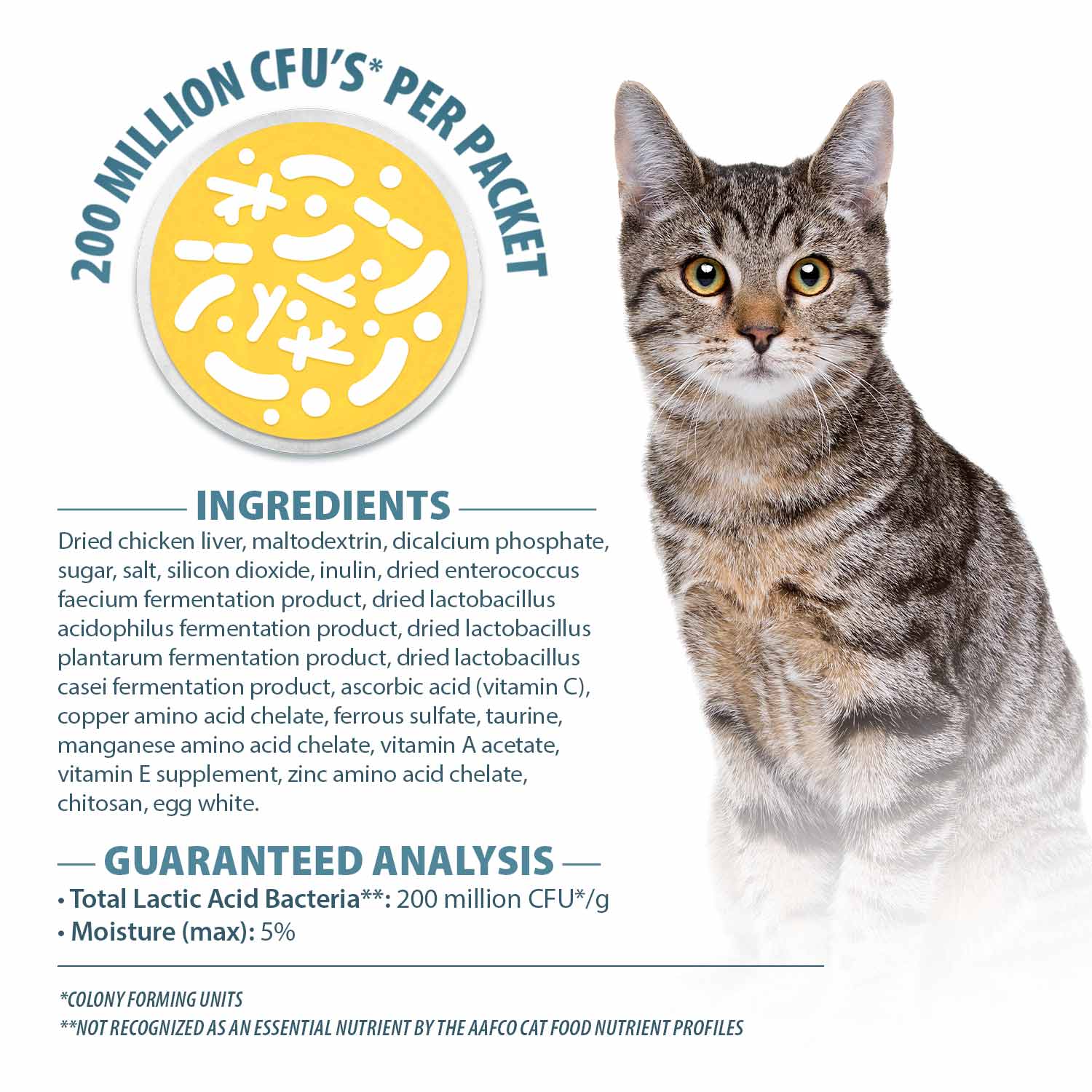 Luxury Pet Essentials - Purrfect Pet Kingdom™