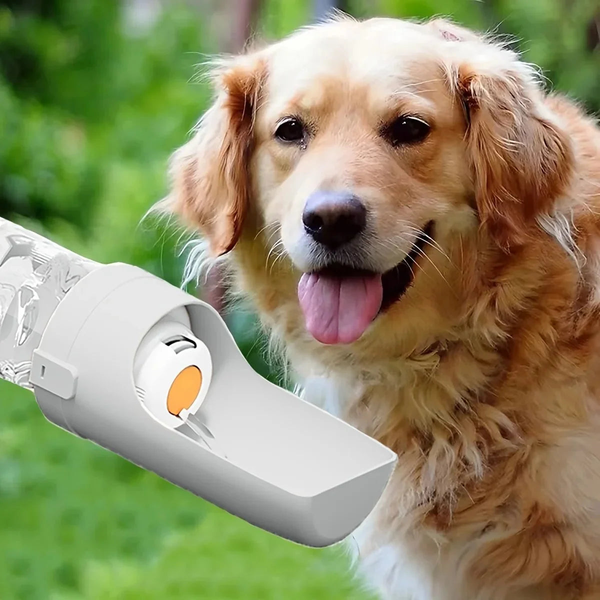 Luxury Pet Essentials - Purrfect Pet Kingdom™