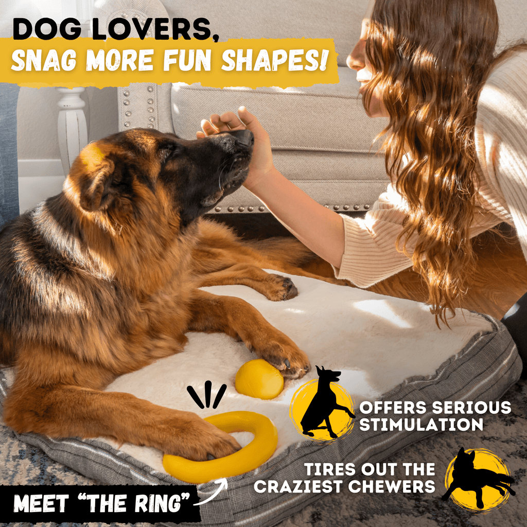 Luxury Pet Essentials - Purrfect Pet Kingdom™