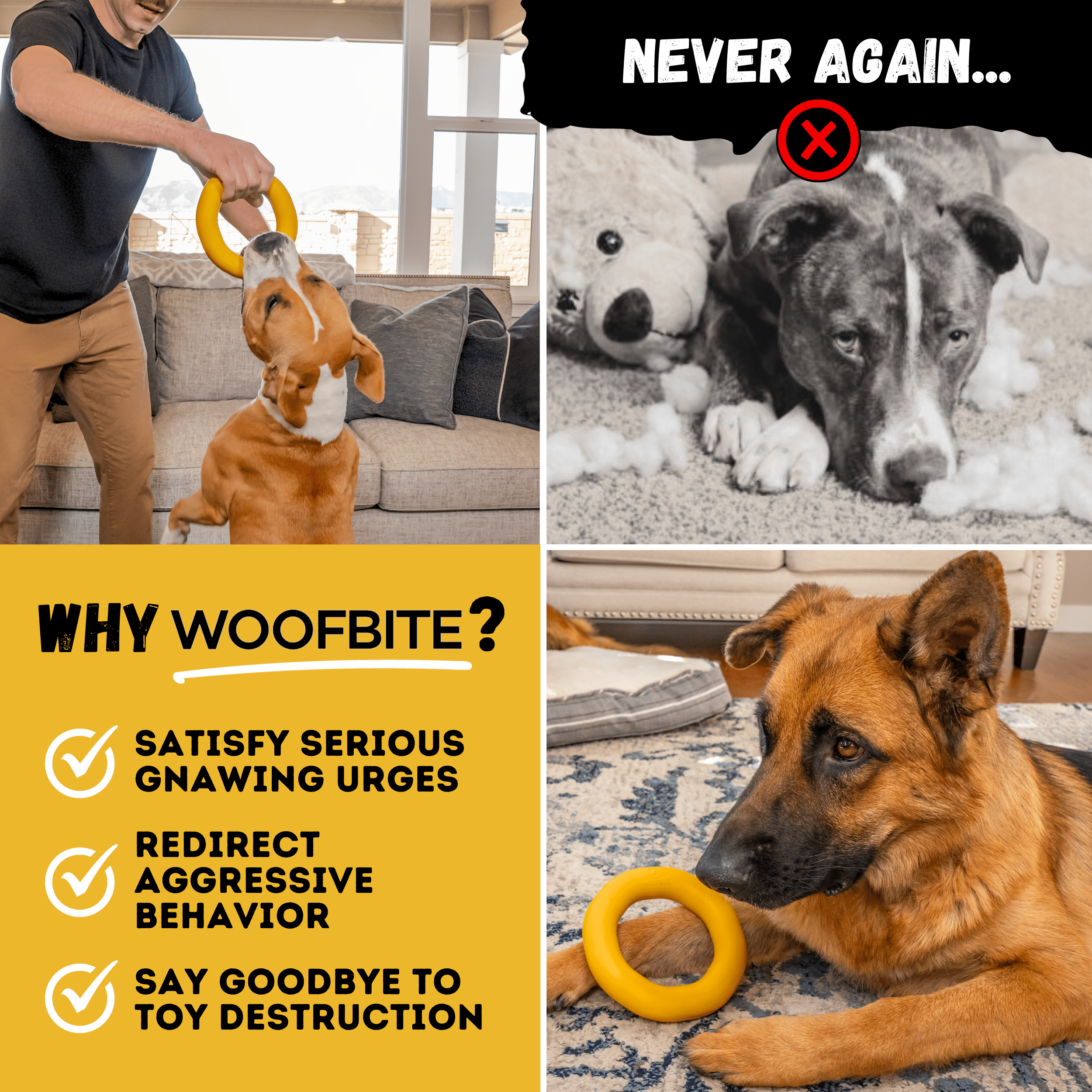 Luxury Pet Essentials - Purrfect Pet Kingdom™