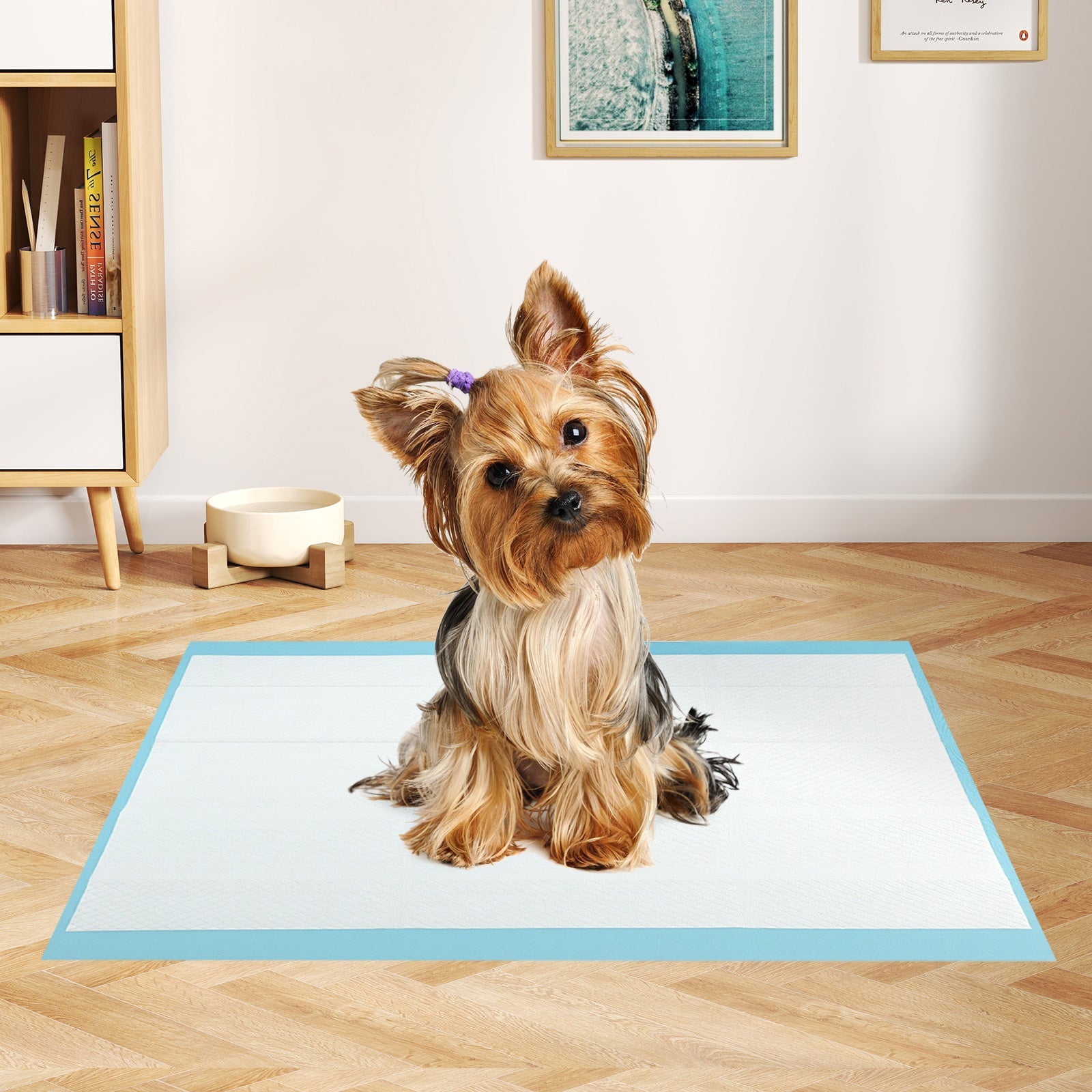 Dog and Puppy Pee Pads 24" x 17" (300 Counts) for Potty