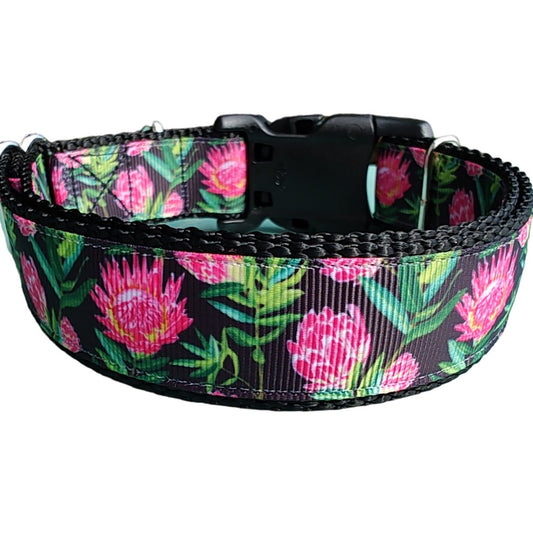 Dog Collar Protea Flower Exotic Botanical Floral Patterned Nylon