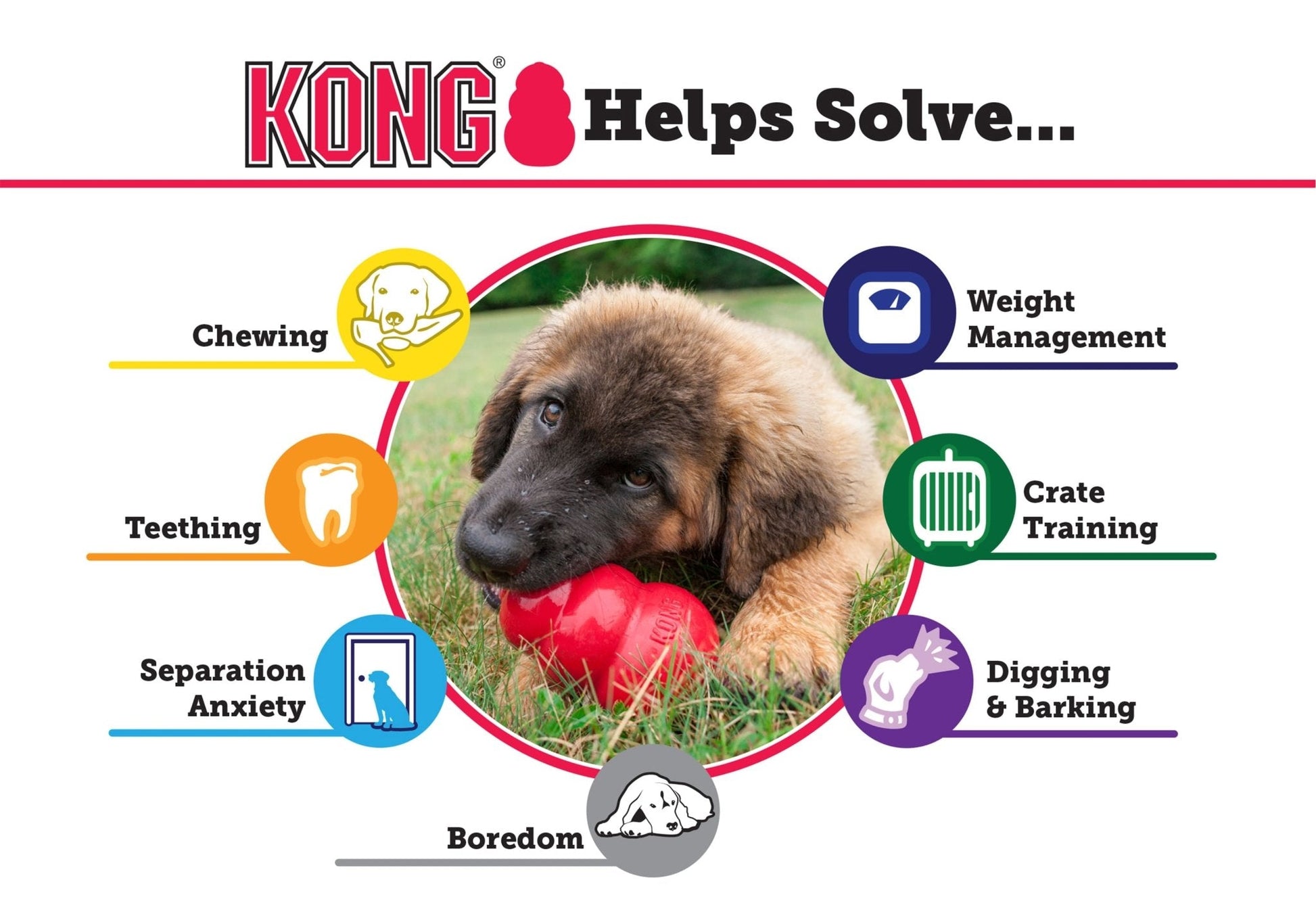 Luxury Pet Essentials - Purrfect Pet Kingdom™