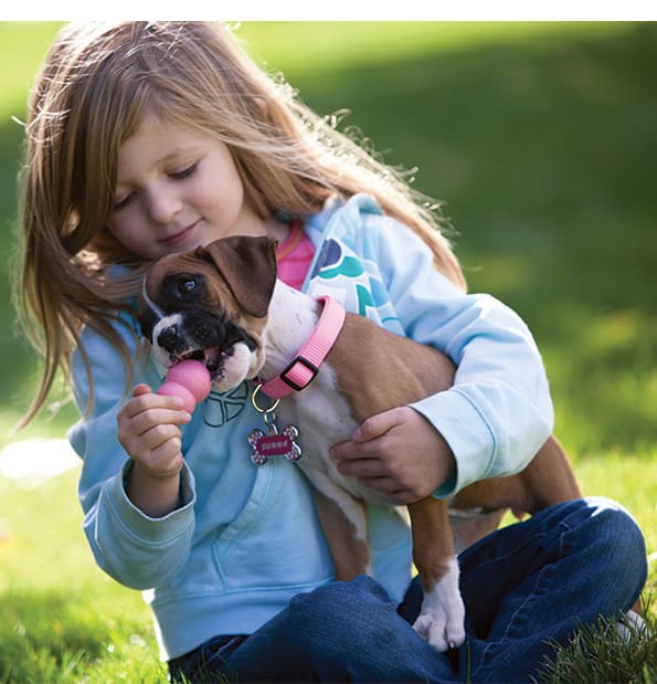 Luxury Pet Essentials - Purrfect Pet Kingdom™