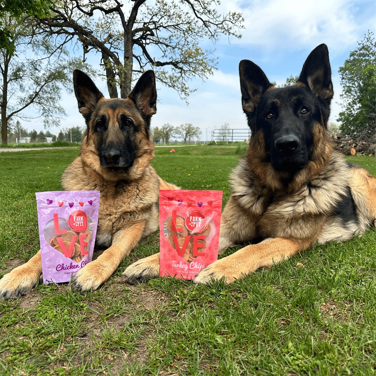 Dog Treats Puppy Love Poultry Chip Duo Pack Training Treats