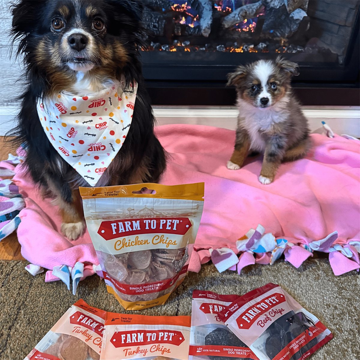 Dog Treats Puppy Starter Pack Single-Ingredient Snack Chews - Detail Angle 7 | Majestic Pet Kingdom