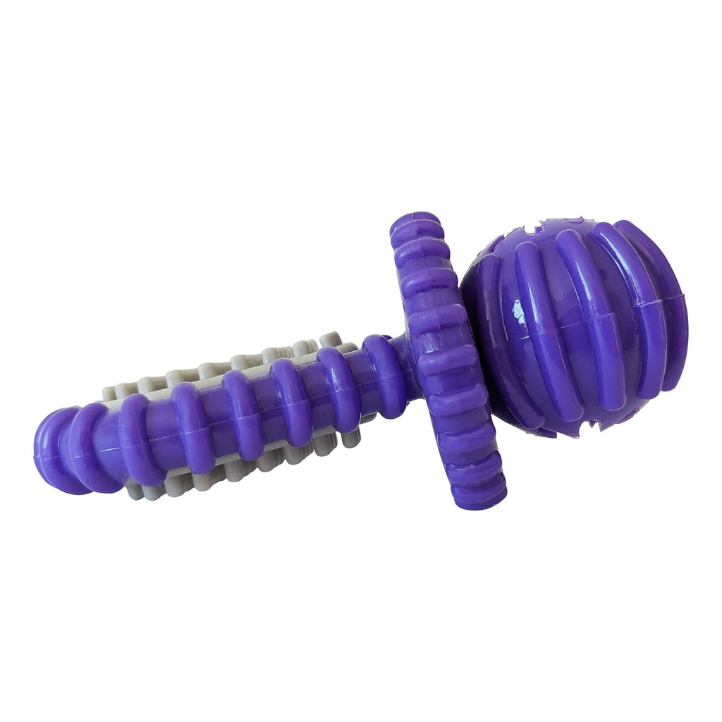 Purple Rubber Dental Pacifier Dog Toy with Treat Hole