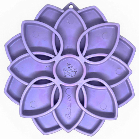 Mandala Softie eTray Shallow Slow Feeder Dog Bowl with Best