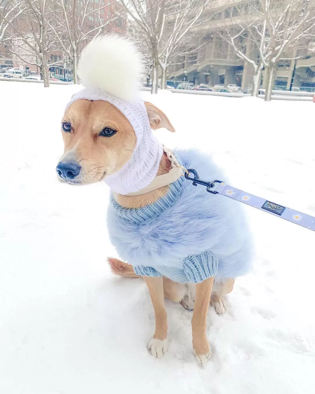 Haute Couture Feathered Luxury Pet Sweater - Majestic Pet Kingdom