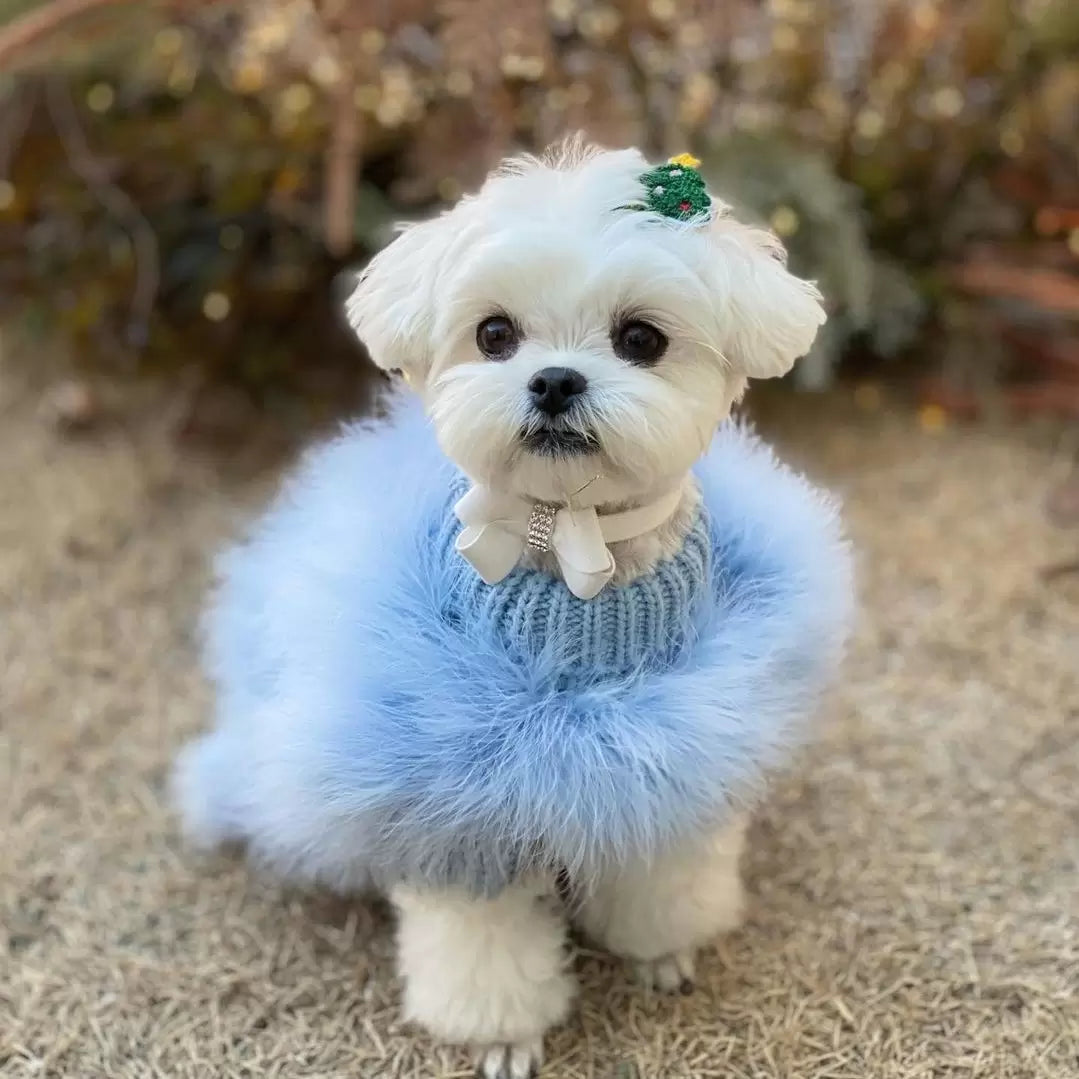 Haute Couture Feathered Luxury Pet Sweater - Majestic Pet Kingdom