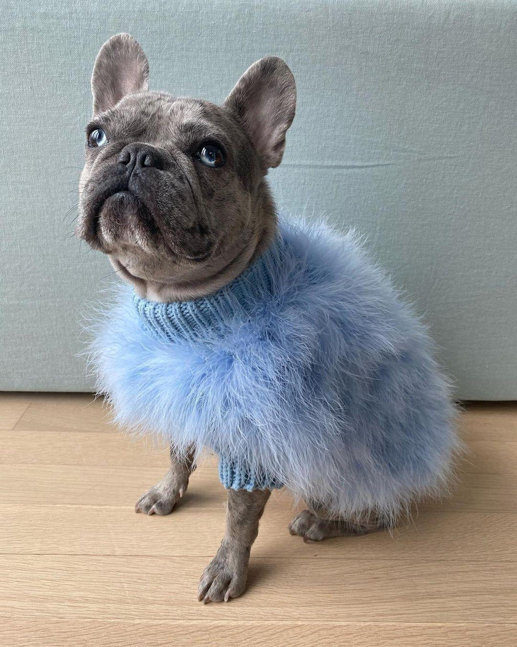 Haute Couture Feathered Luxury Pet Sweater - Majestic Pet Kingdom