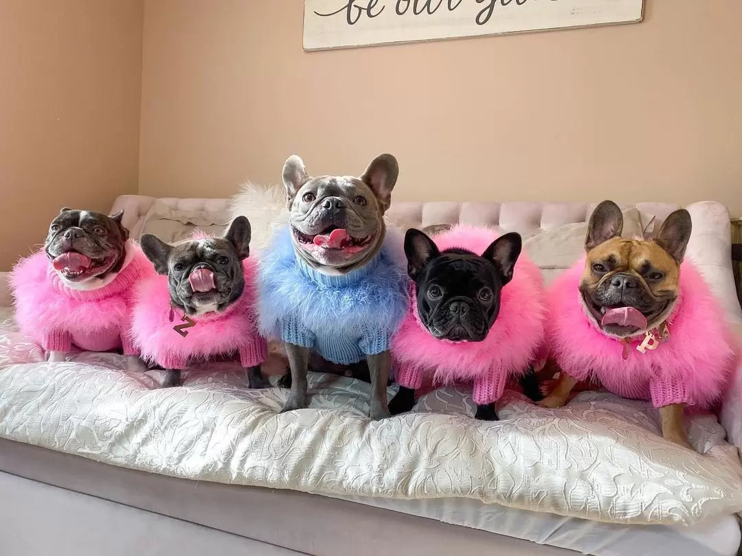 Haute Couture Feathered Luxury Pet Sweater - Majestic Pet Kingdom