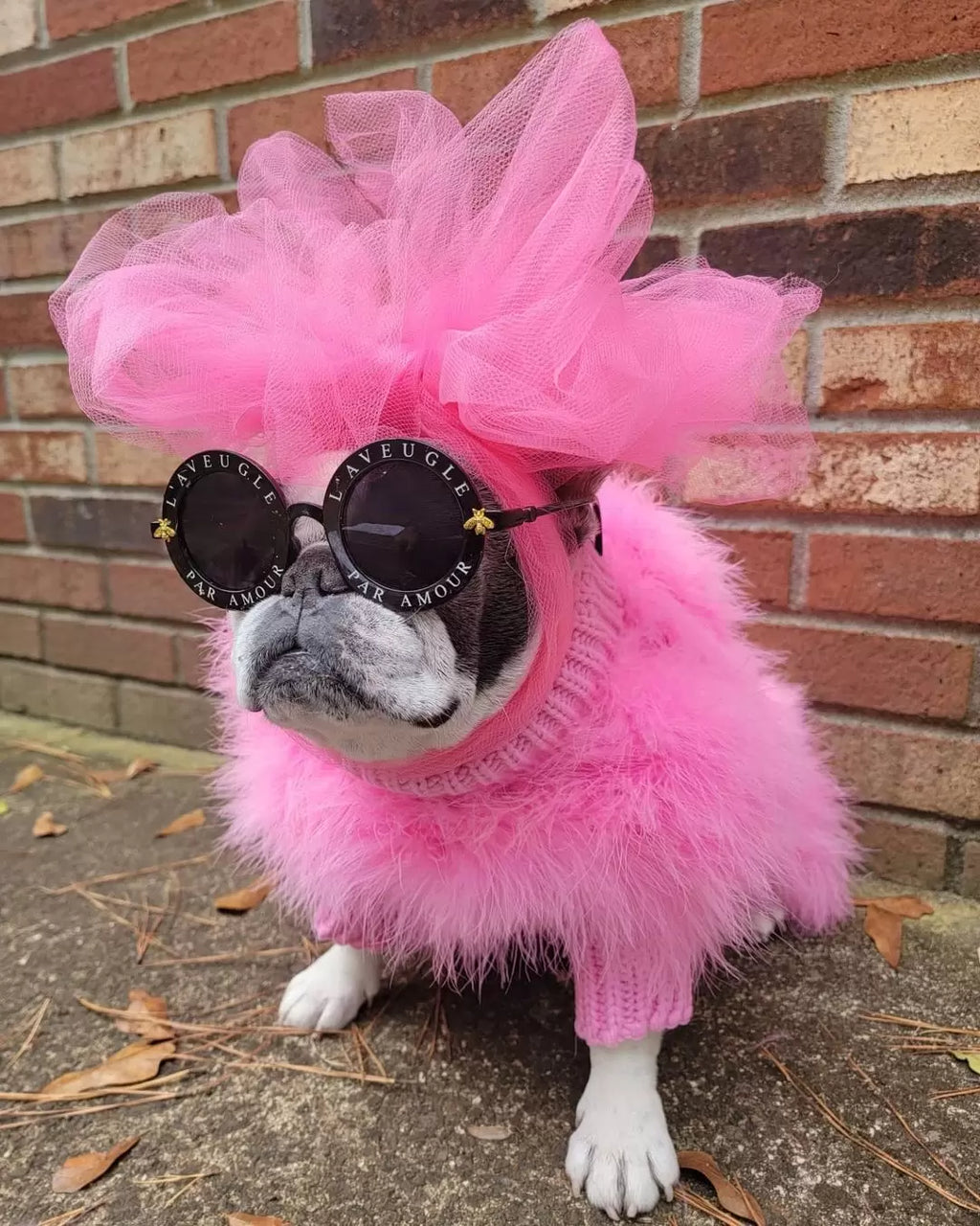 Haute Couture Feathered Luxury Pet Sweater - Majestic Pet Kingdom