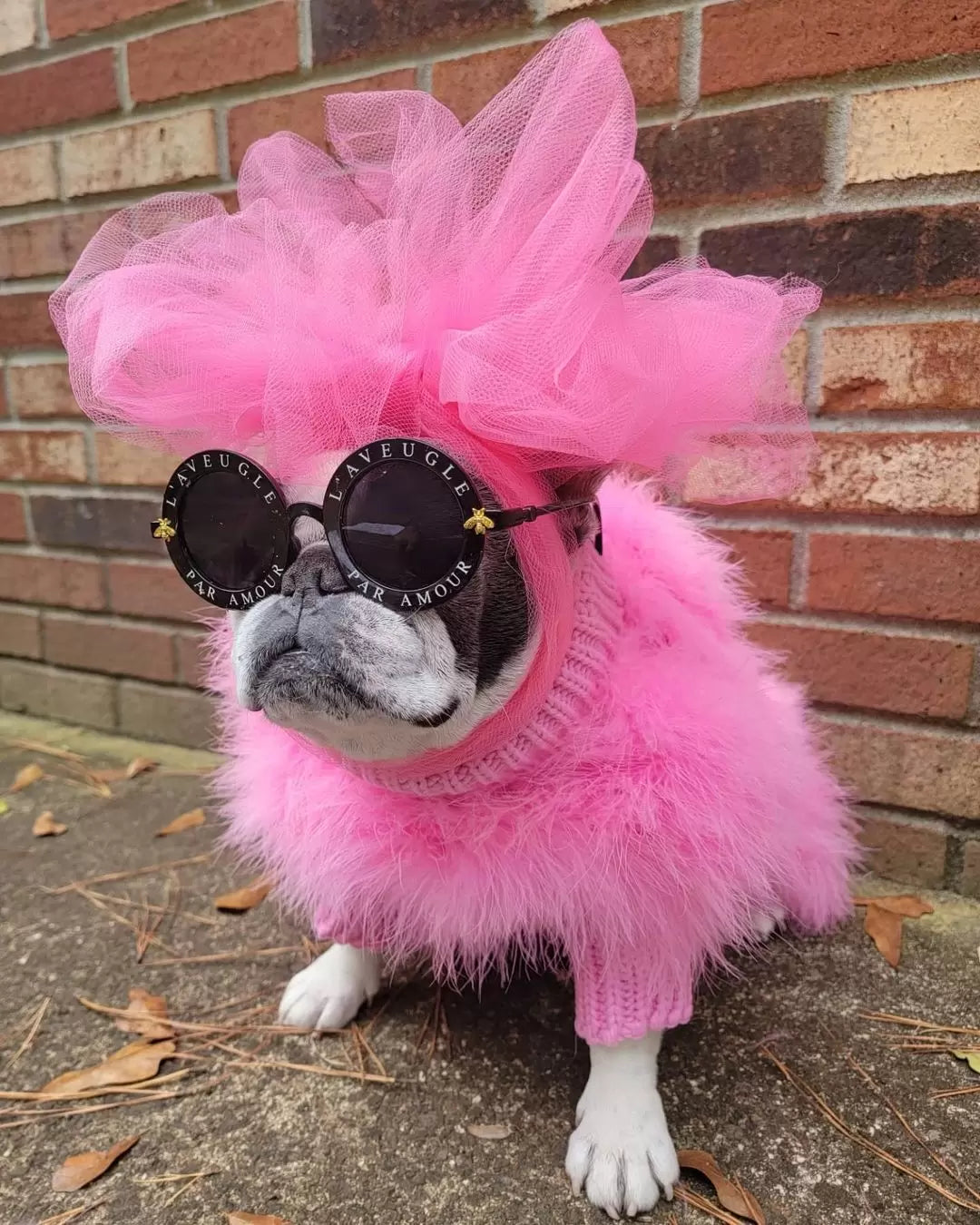 Haute Couture Feathered Luxury Pet Sweater - Majestic Pet Kingdom
