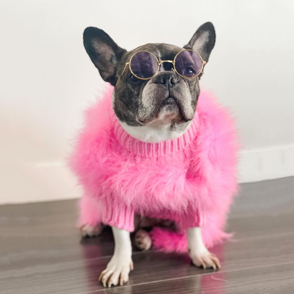 Haute Couture Feathered Luxury Pet Sweater - Majestic Pet Kingdom