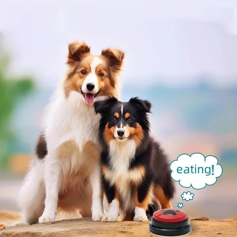 Luxury Pet Essentials - Purrfect Pet Kingdom™