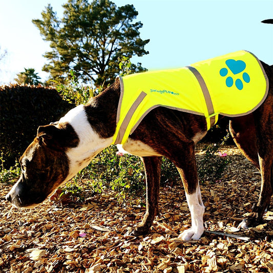 Dog Safety Vest Reflective Hi-Vis High Visibility Yellow L