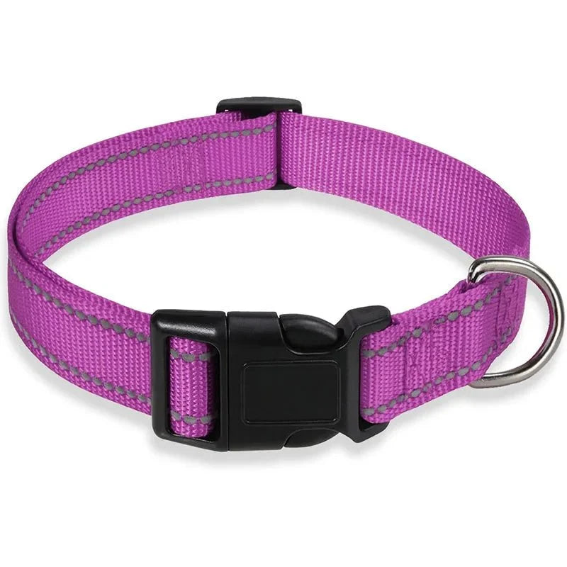Reflective Nylon Dog Collar | Adjustable Safety Strap for Small and Medium Dogs