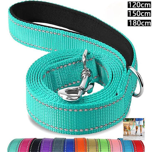 Dog Leash Reflective High Visibility Polyester Walking Lead 5ft