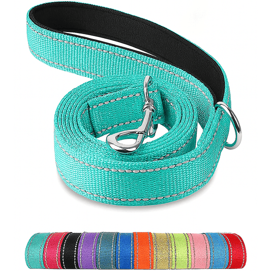 Dog Leash Reflective High Visibility Polyester Walking Lead 5ft