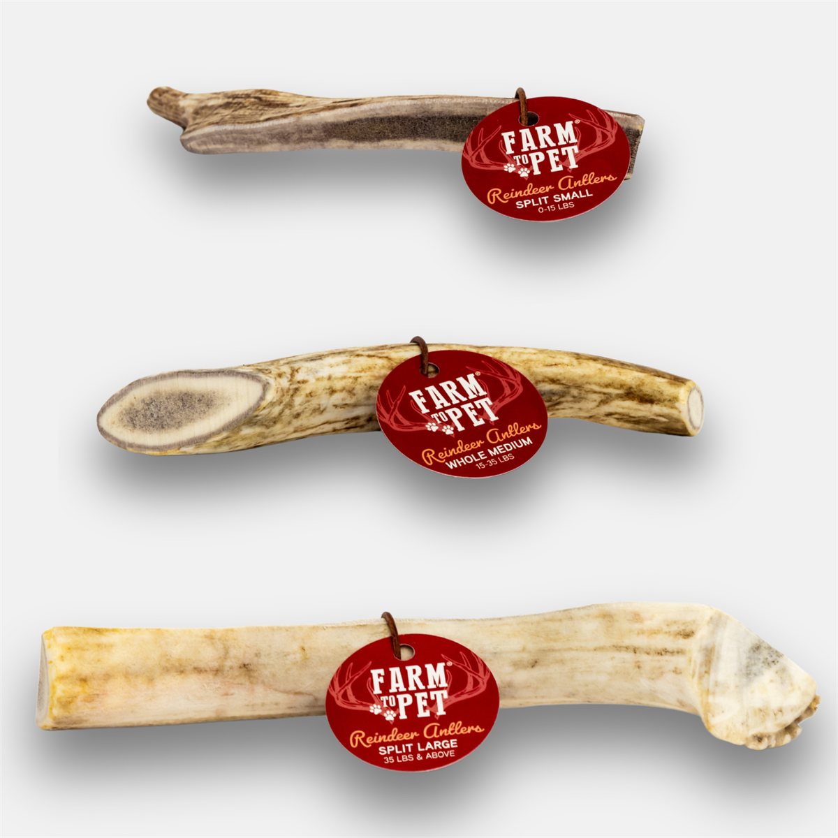 Dog Antler Chews Reindeer Organic Natural Long Lasting Bone - Detail Angle 5 | Majestic Pet Kingdom