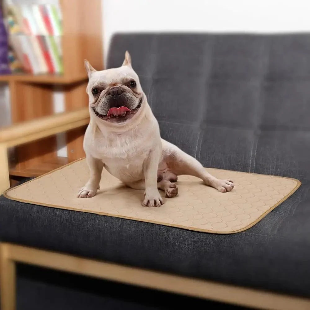 Luxury Pet Essentials - Purrfect Pet Kingdom™