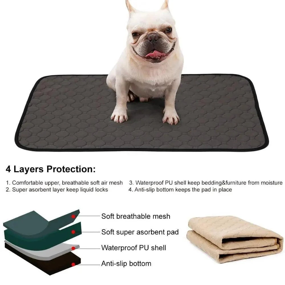 Luxury Pet Essentials - Purrfect Pet Kingdom™