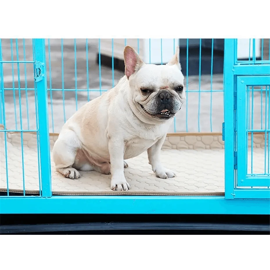 Luxury Pet Essentials - Purrfect Pet Kingdom™