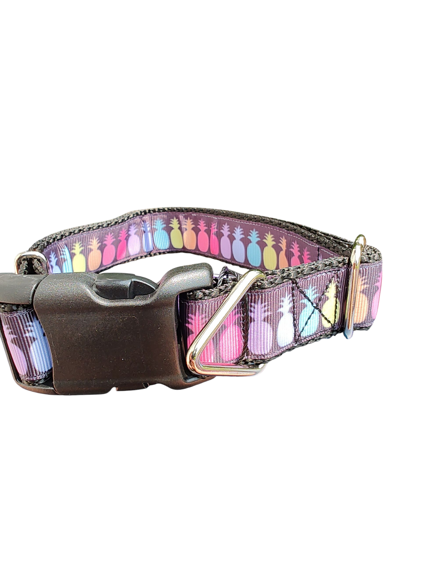 Rainbow Pineapples Nylon Dog Collar | Purrfect Pet Kingdom