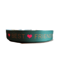 Best Friends Nylon Dog Collar