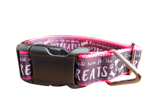 Here For The Treats Hot Pink Nylon Dog Collar MD, LG, XL, Leash | Purrfect Pet Kingdom