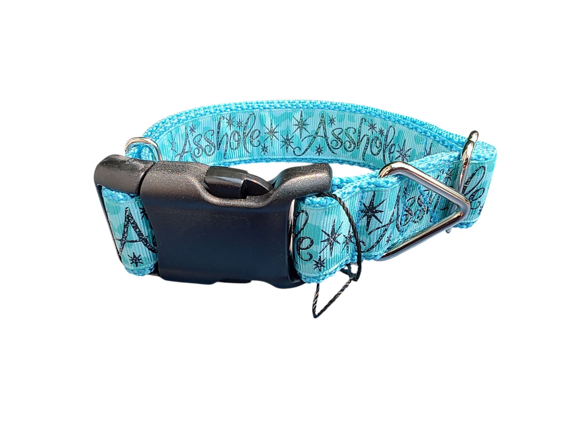 Asshole Blue Green Nylon Dog Collar | Purrfect Pet Kingdom