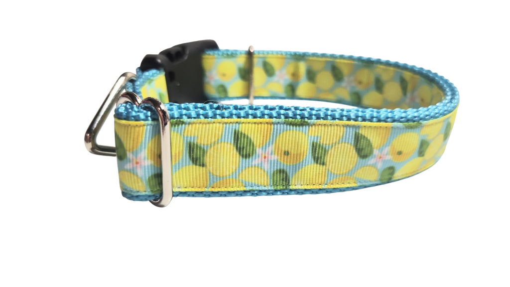 Lemons Nylon Dog Collar