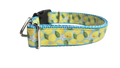Lemons Nylon Dog Collar