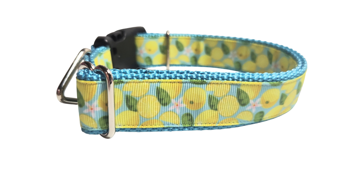 Lemons Nylon Dog Collar | Purrfect Pet Kingdom