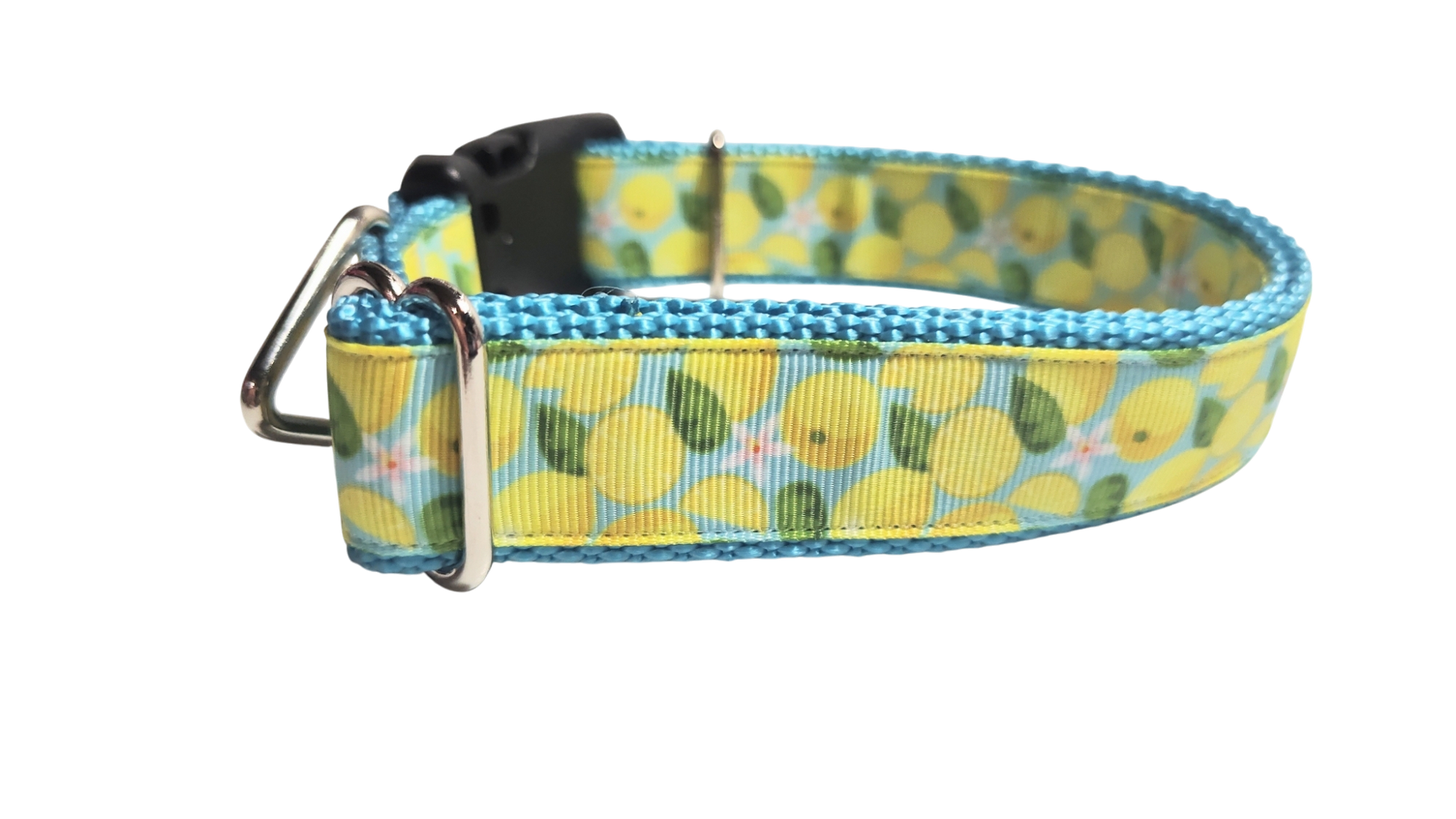 Lemons Nylon Dog Collar | Purrfect Pet Kingdom
