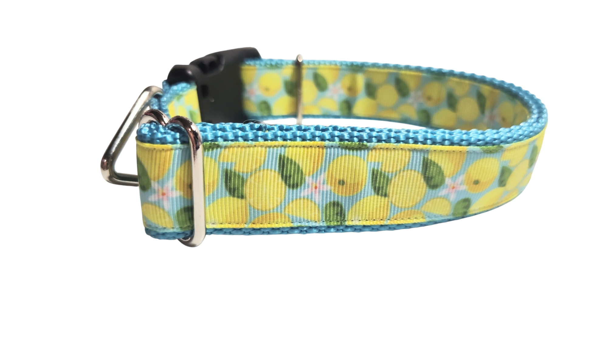 Lemons Nylon Dog Collar