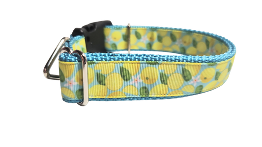 Lemons Nylon Dog Collar | Purrfect Pet Kingdom