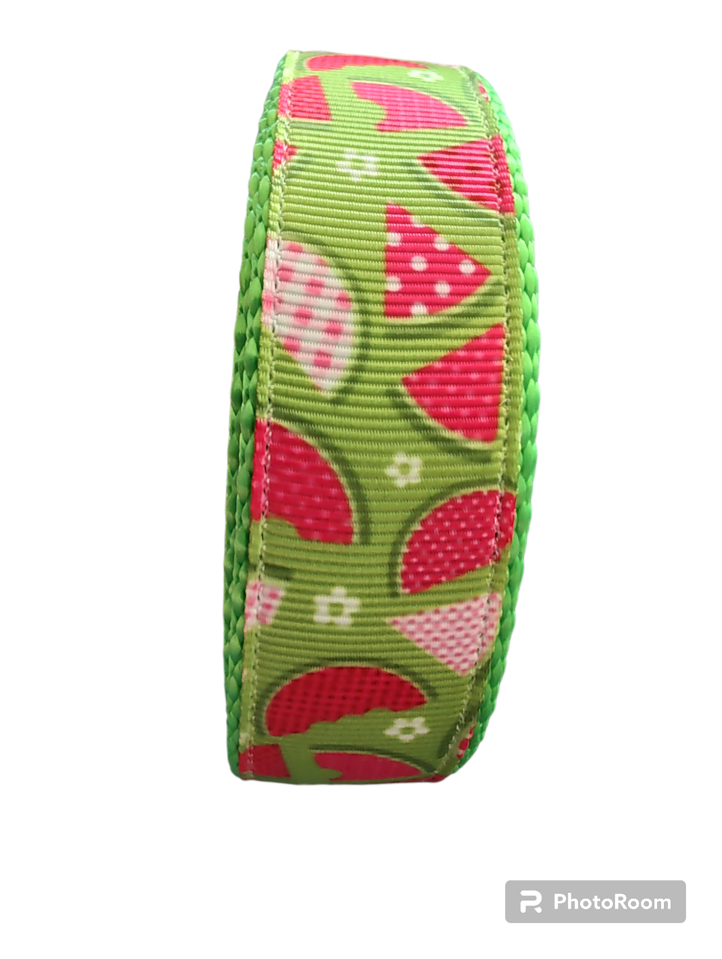 Watermelon Picnic Hot Pink Nylon Dog Collar MD, LG, XL, Leash | Purrfect Pet Kingdom