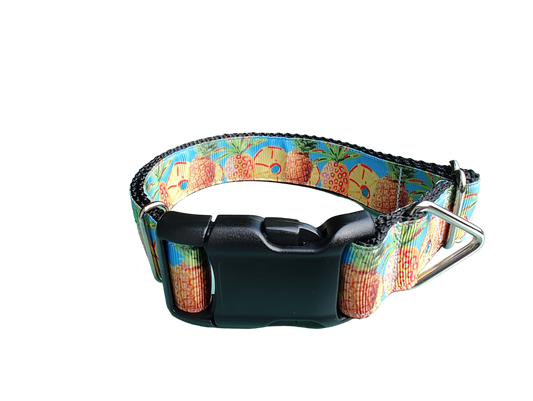 Pineapple Nylon Dog Collar | Purrfect Pet Kingdom